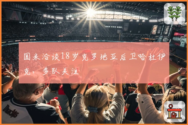 国米洽谈18岁克罗地亚后卫哈杜伊克，多队关注